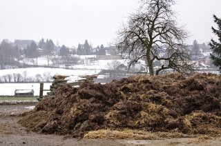 quality test chemicals in manure & compost