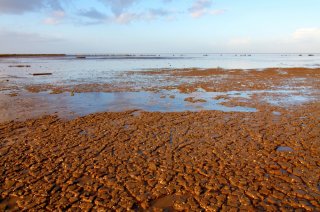 ringtest determinands seabottom